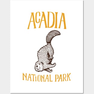 Acadia National Park: Falling Beaver Posters and Art